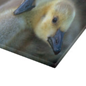 Lakeside Schneidebrett (Ecke)