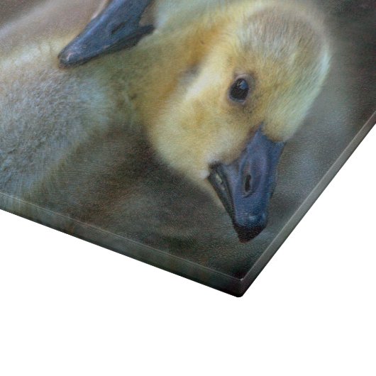 Lakeside Schneidebrett (Ecke)