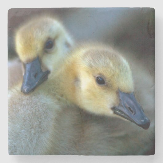 Lakeside Steinuntersetzer (Vorderseite)