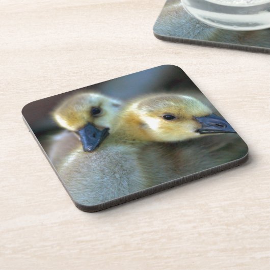 Lakeside Untersetzer (Linke Seite)