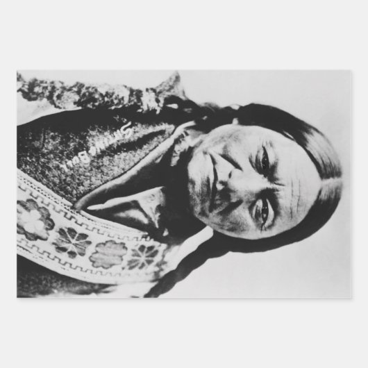 Lakota Chefübergabe: Sich auf Bull Fort Buford set Geschenkpapier Set (Vorderseite 3)