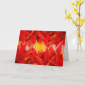 lakota Gebets-Grußkarte Karte (Gelbe Blume)