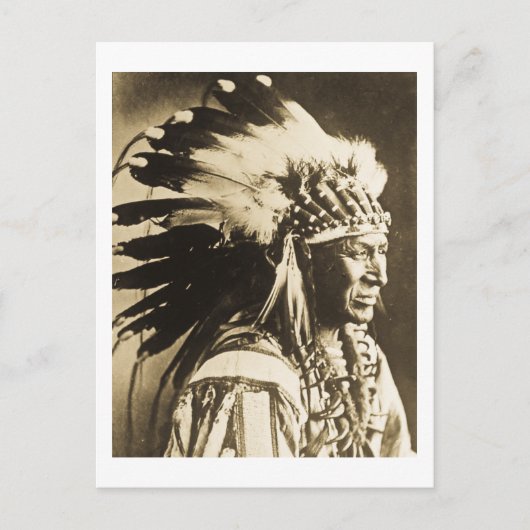 Lakota Sioux Chief White Swan Postkarte (Vorderseite)