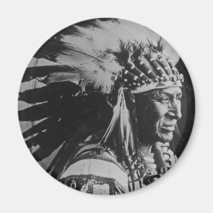 Lakota Sioux Vintager weißer hauptsächlichschwan Magnet