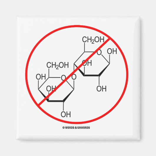 Laktose (Lactose-Intoleranz) Magnet (Vorne)