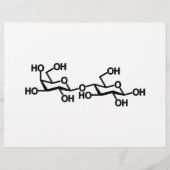 Laktose-Milch-Struktur Flyer (Hinten)