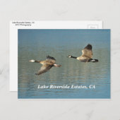Lakw Riverside Anwesen, CA Postcard Postkarte (Vorne/Hinten)