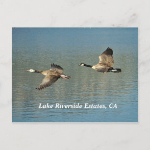 Lakw Riverside Anwesen, CA Postcard Postkarte