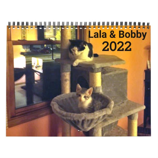 Lala & Bobby 2022 Personalisiert Cats Calendar Kalender (Titelbild)