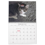 Lala & Bobby Personalisiert Cat Calendar 2024 Kalender (Feb 2027)