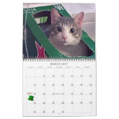 Lala & Bobby Personalisiert Cat Calendar 2024 Kalender (Mär 2027)