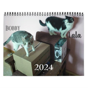 Lala & Bobby Personalisiert Cat Calendar 2024 Kalender