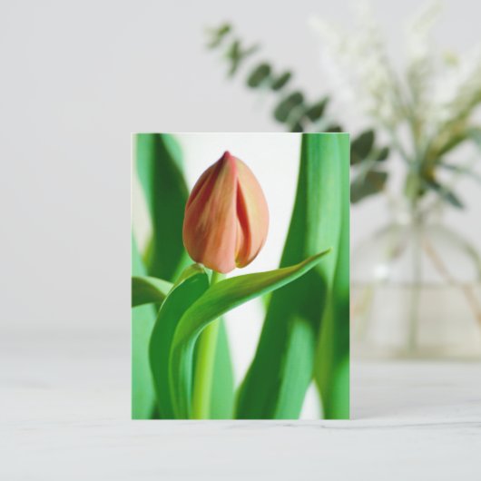 lala Tulip Postcard Postkarte (Stehend Vorderseite)
