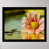 Lalysia Poster (Vorne)