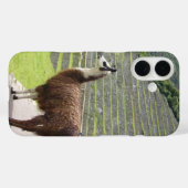 Lama 3 Case-Mate iPhone hülle (Rückseite (Horizontal))