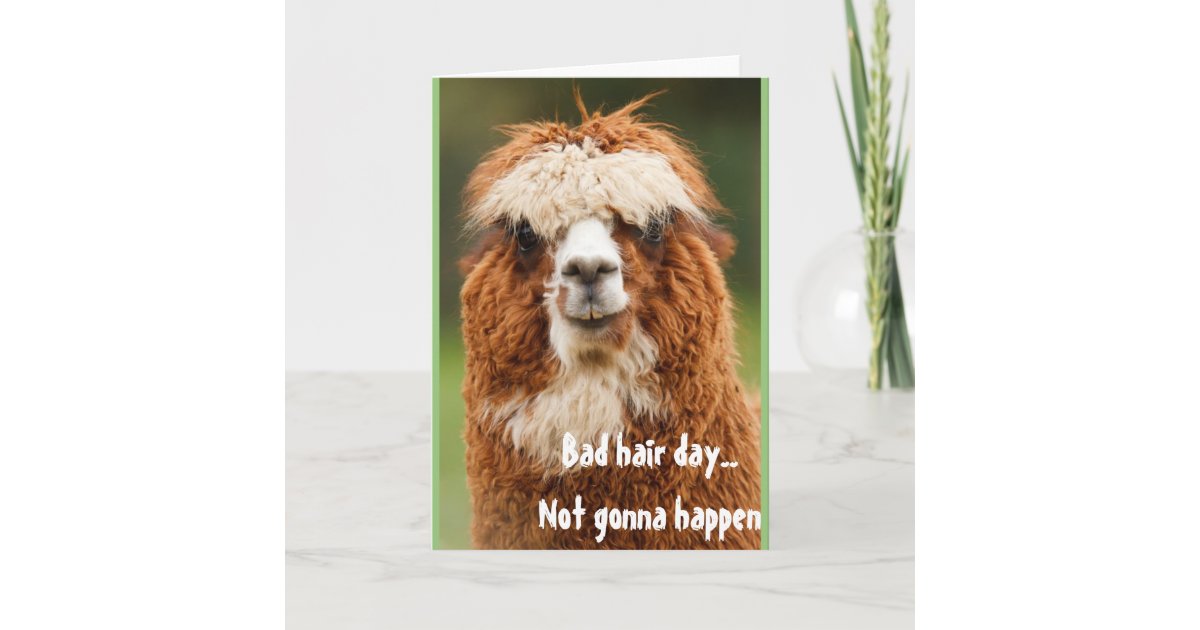 lama alpaka lustige haar tagesgruss karte karte zazzle de