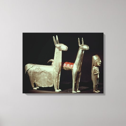 Lama, Alpaka und Frau Leinwanddruck (Vorderseite)