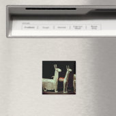 Lama, Alpaka und Frau Magnet (In Situ (Geschirrspüler))