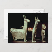 Lama, Alpaka und Frau Postkarte (Vorne/Hinten)