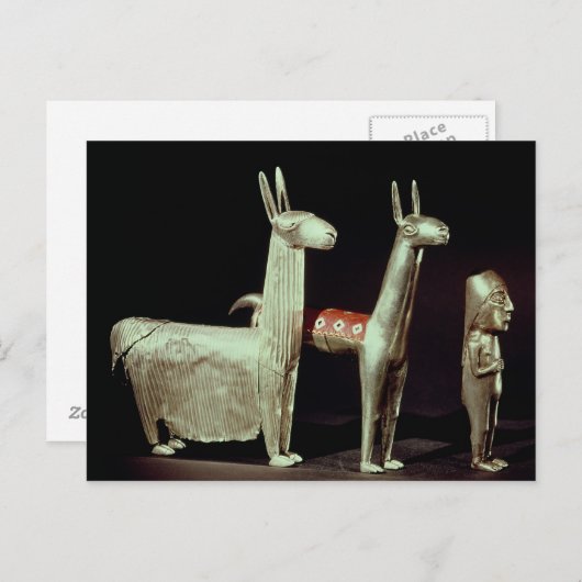 Lama, Alpaka und Frau Postkarte (Vorne/Hinten)