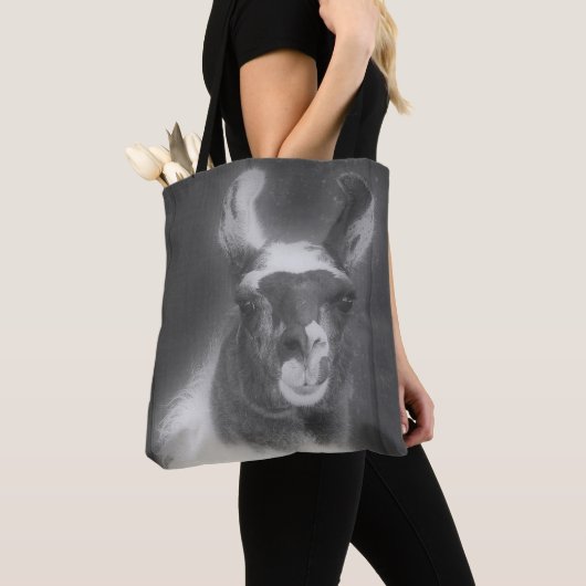 Lama bei Schwarz-Weiß-Tier Tasche (Von Nahem)