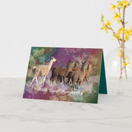 Lama-Beileids-Karte mit fünf weißen u. Brown-Lamas Karte (Gelbe Blume)