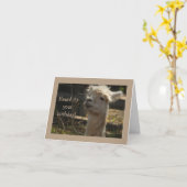 Lama Birthday-Karte Karte (Gelbe Blume)