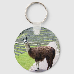 Lama Blick Schlüsselanhänger