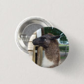 Lama Button (Vorne & Hinten)