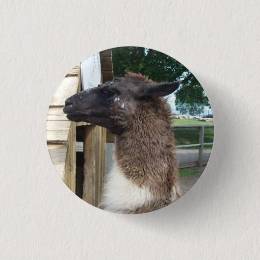 Lama Button (Vorderseite)
