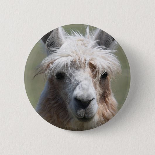 Lama Button (Vorderseite)