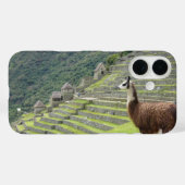 Lama Case-Mate iPhone Hülle (Rückseite (Horizontal))