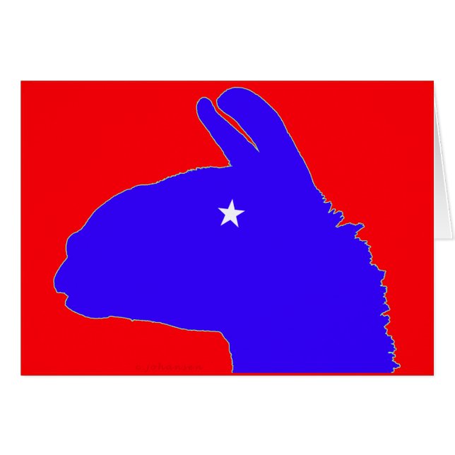 Lama: das lonestar Lama von Texas (Vorderseite (Horizontal))