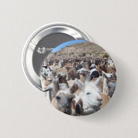 Lama-Disco Button (Vorne & Hinten)