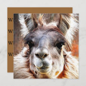 Lama Einladung (Vorne/Hinten)