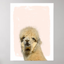 Lama flüchtige Blick ein boo-Kinderzimmer Kunst Poster