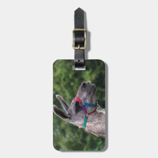 Lama Gepäckanhänger (Vorderseite vertikal)