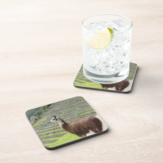 Lama Getränkeuntersetzer (Rechte Seite)