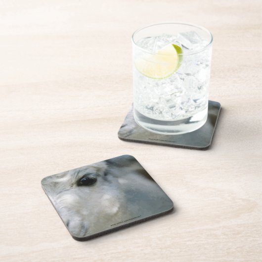 Lama Getränkeuntersetzer (Rechte Seite)