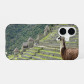 Lama iPhone 16 Hülle (Rückseite (Horizontal))