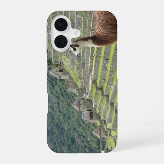 Lama iPhone 16 Hülle (Rückseite)