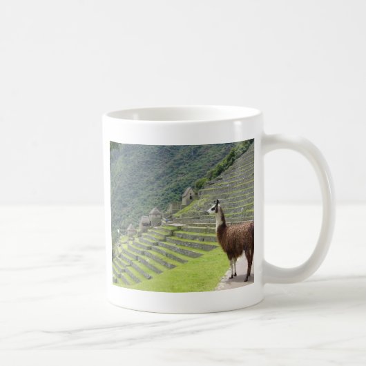 Lama Kaffeetasse (Rechts)