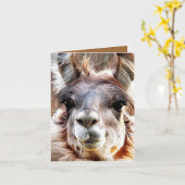 Lama Karte (Gelbe Blume)