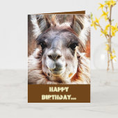 Lama Karte (Gelbe Blume)