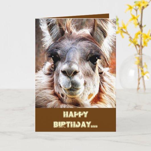 Lama Karte (Gelbe Blume)