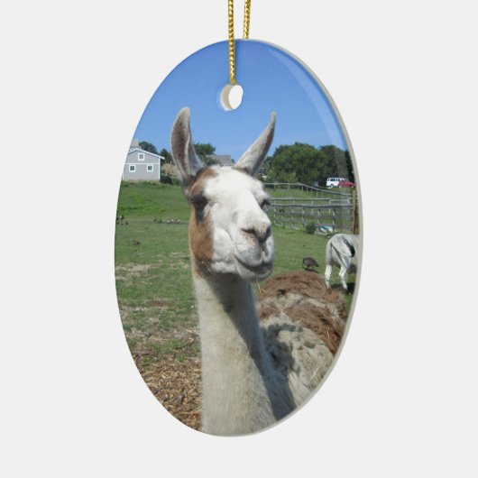 Lama Keramikornament (Links)