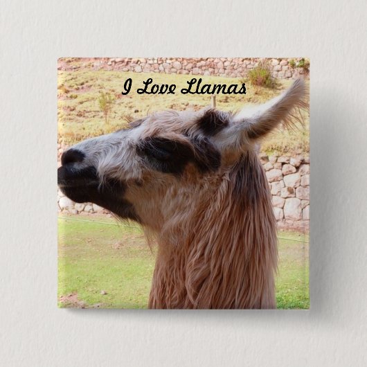 Lama-Knopf Button (Vorderseite)