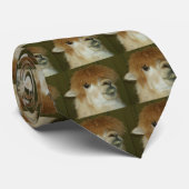 Lama Krawatte (Gerollt)