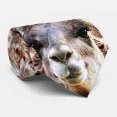 Lama Krawatte (Gerollt)