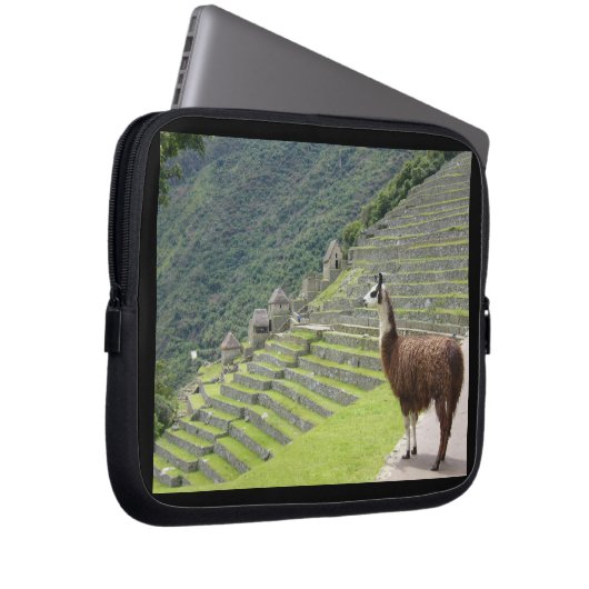 Lama Laptopschutzhülle (Vorne Rechts)